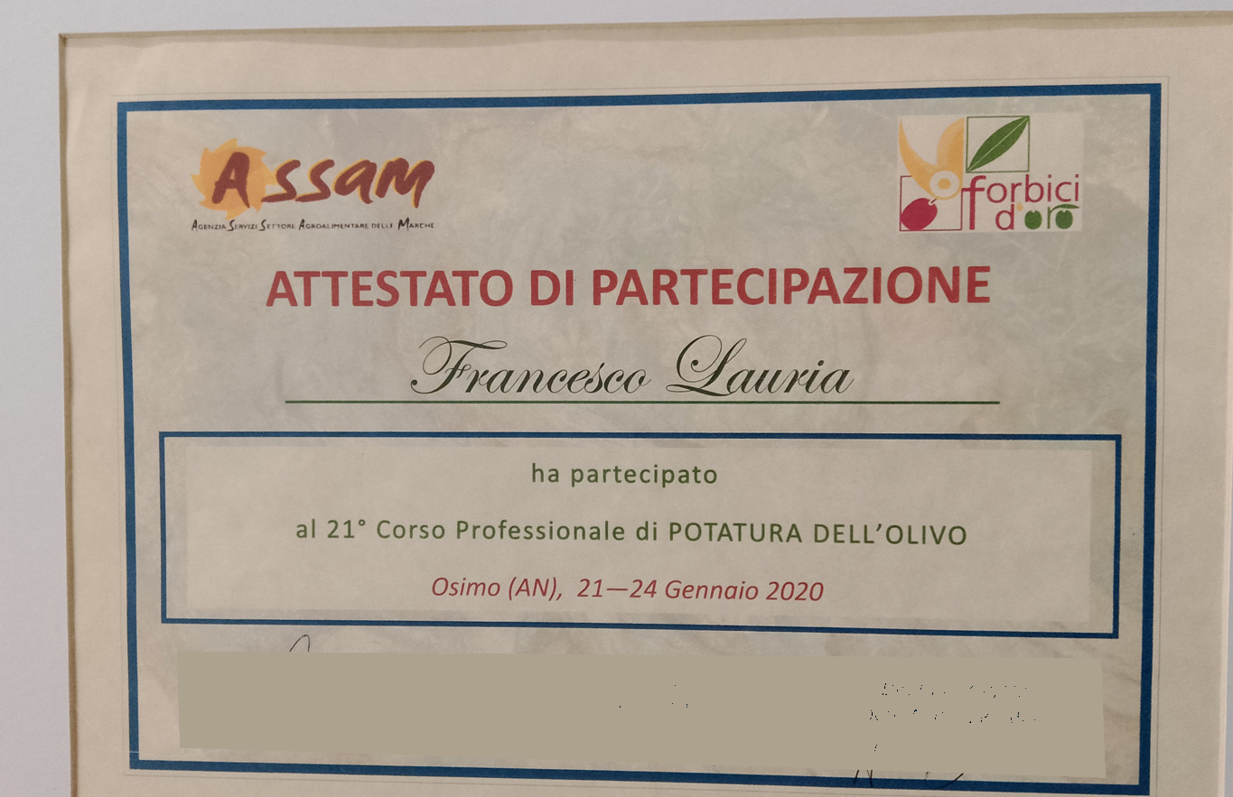 Diploma e certificazione