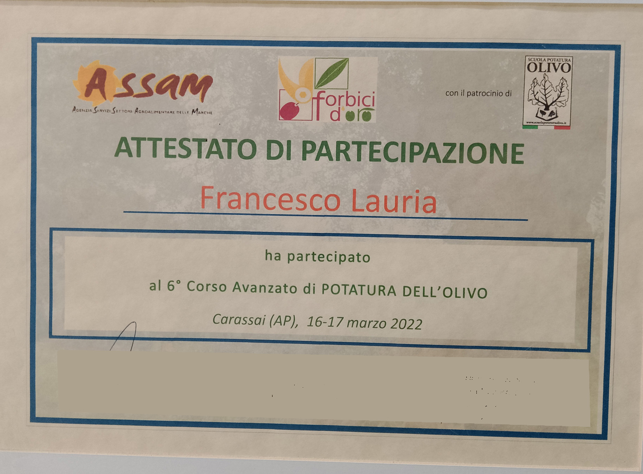 Diploma e certificazione
