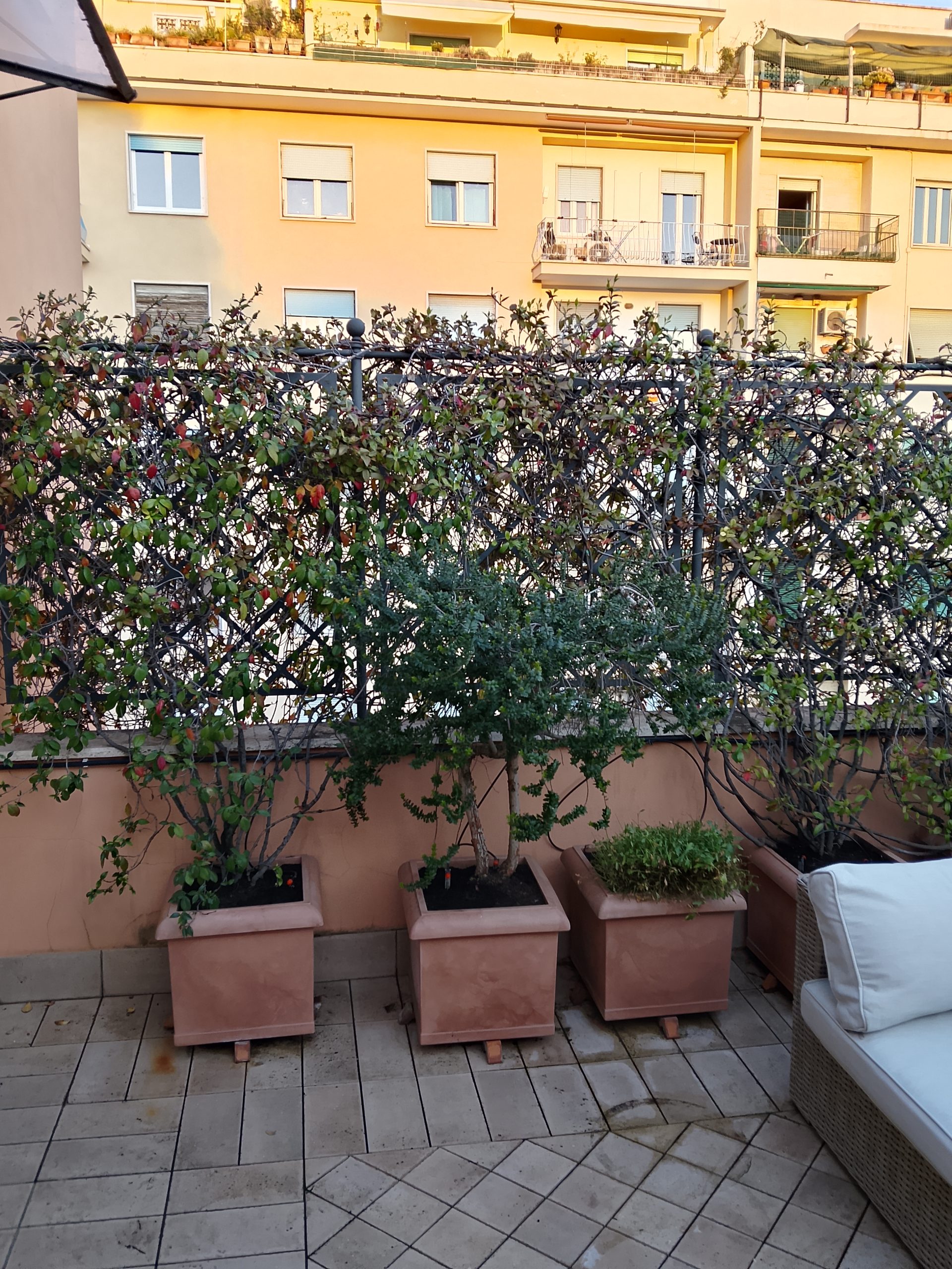 Terrazza zona Trieste, Roma
