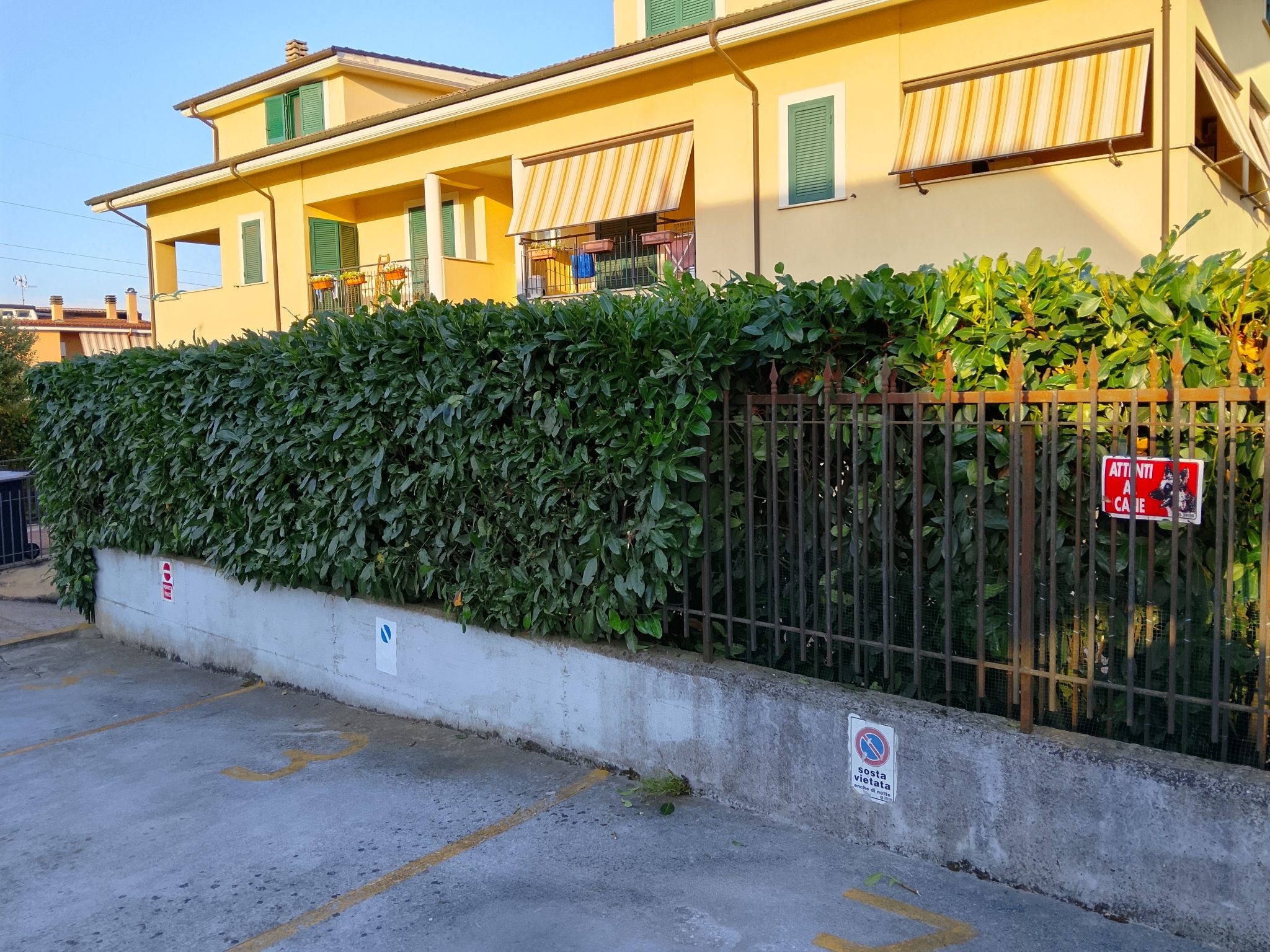 Manutenzione giardino a Roma
